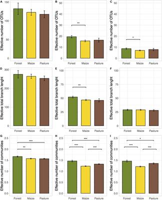 Conversion of a High-Altitude Temperate Forest for Agriculture Reduced Alpha and Beta Diversity of the Soil Fungal Communities as Revealed by a Metabarcoding Analysis